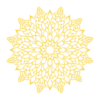 2 2